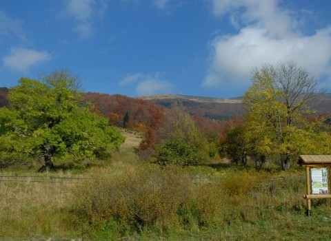 Nieistniejąca wieś Berehy Górne 